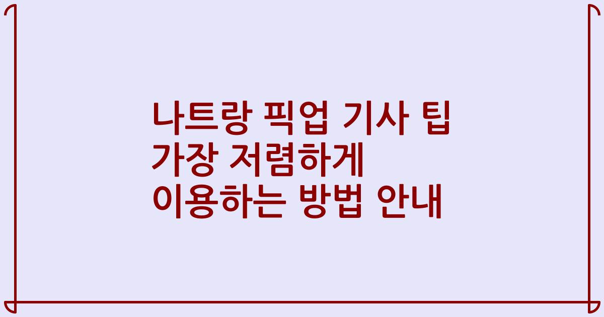 나트랑 픽업 기사 팁 가장 저렴하게 이용하는 방법 안내