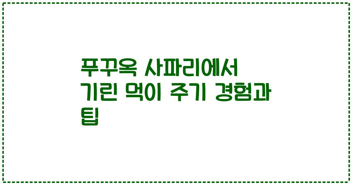 푸꾸옥 사파리에서 기린 먹이 주기 경험과 팁